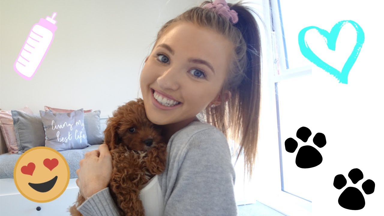NEW PUPPY! WHAT YOU NEED AND TIPS! | LUCY ADENEY #cavapoopup #puppyhaul ...