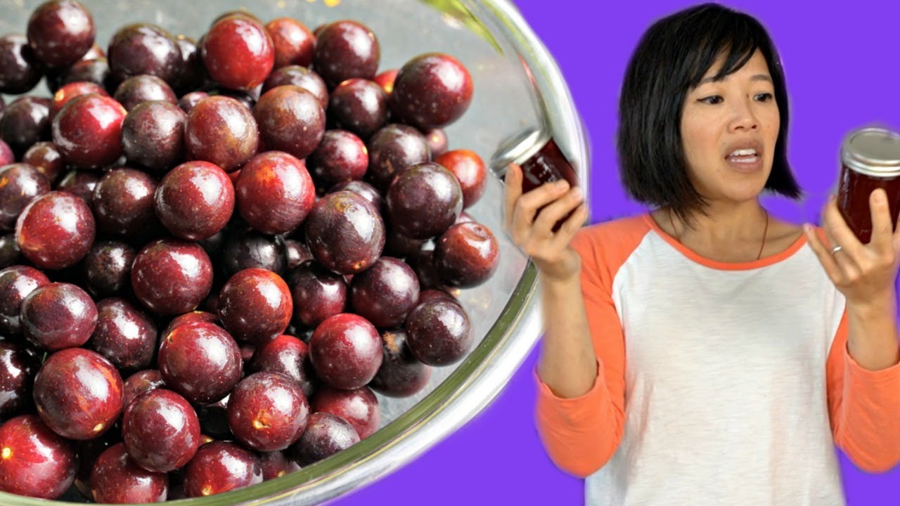 MUSCADINE Taste Test & How to Make & Can Jelly | Fruity Fruits | emmymade