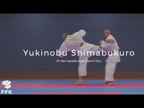 [Série Technique]  - Y. Shimabukuro - Contrôles et ripostes avec finalisation au sol