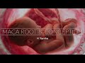 Conceived with maca root in 45 days  pregnant with maca root  natural conceiving