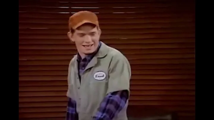 Why did the character Lowell leave the show Wings? (2023)