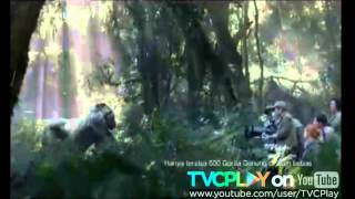 Download lagu Iklan Samsung UHD TV