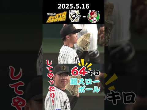 【出た!64キロの超スローボール!】村上投手もしてやったりのにんまり笑顔! #サンテレビボックス席