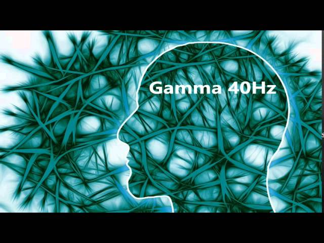 40 Hz Gamma - Pure Tone Binaural Beat - Brain's Operating System class=