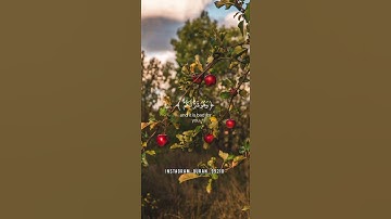 القرآن الكريم حالات واتس - سورة البقرة - القارئ أحمد العجمي