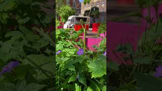 Spring @ Guy's Campus 🌳💚