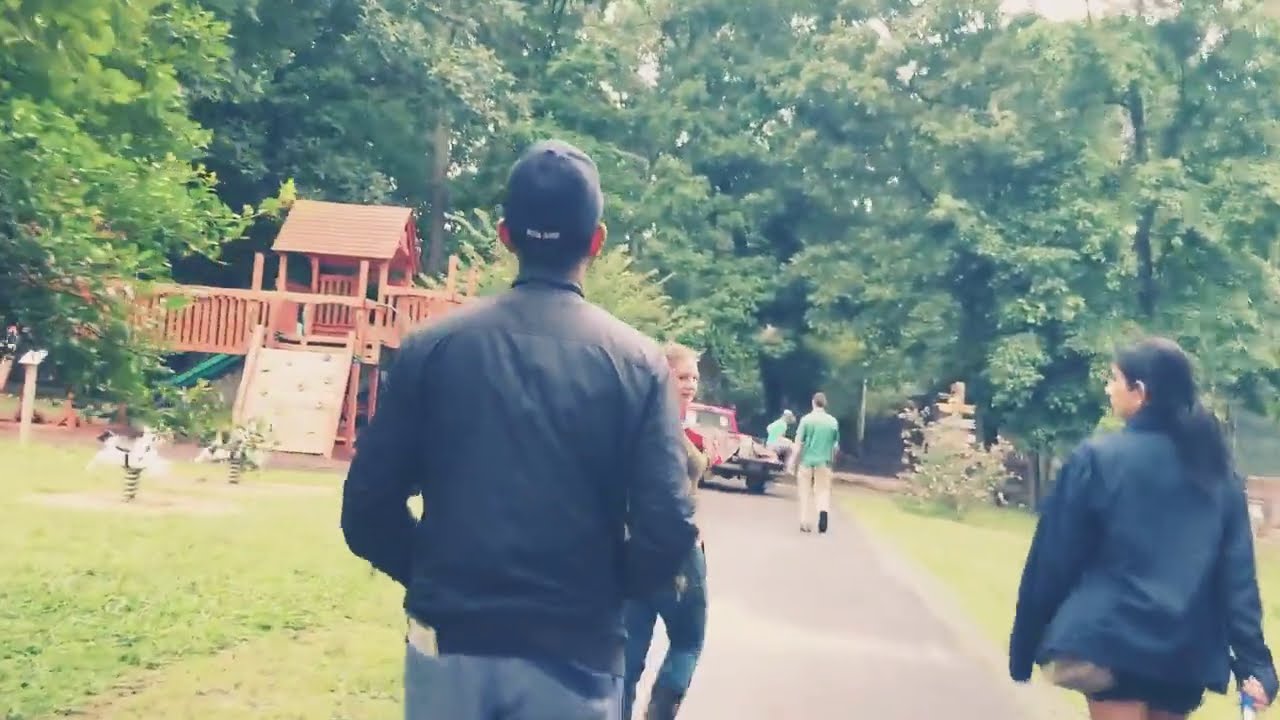 Liger New Lion+Tiger  Cross-breed species