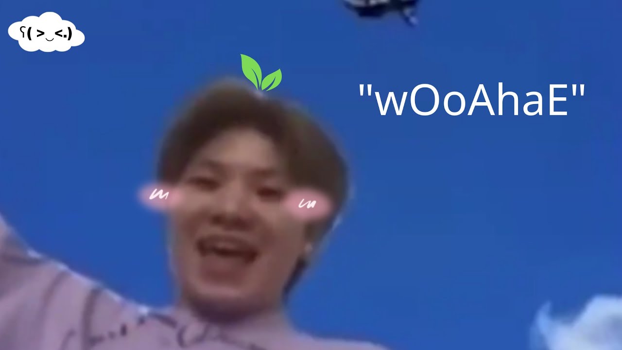 (17 funny moments) WOOZI nhà 17 là một thành viên..........