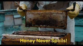 Honey Never Spoils! 3,000-Year-Old Honey Still Edible | TinyWonders Honey The Sweet Treat That Never Spoils