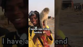 My New Friend Monkey Dont Forget To