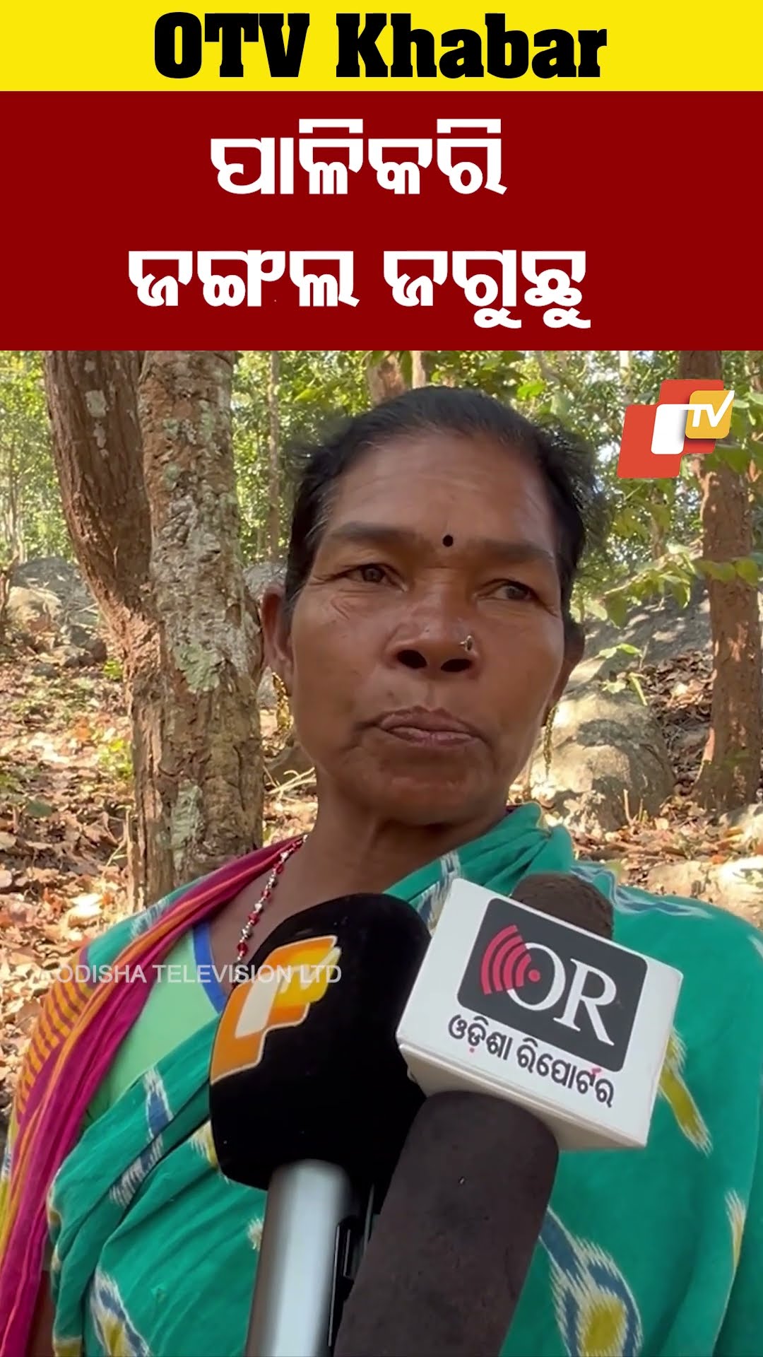 ଗଛ ଆମ ମାଁ। ଜଙ୍ଗଲ ଆମ ମାଁ। ଜଙ୍ଗଲ ଆଉ ଗଛ ଜୀବନ ସାରା ଆମକୁ ସାହାଯ୍ୟ କରେ #OTV #OdishaTV #Sanakhani #Mohana