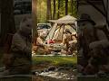 A Fun Day Out with the Cat Family #cat #funny #camping #viral