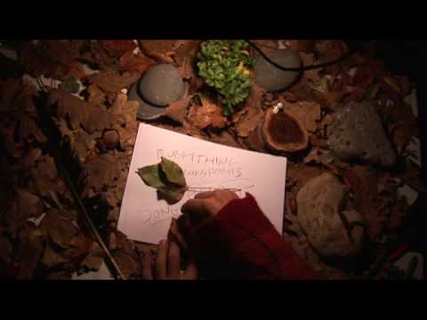 Magic Wood by Druyd - didgeridoo guitar vocals - music video