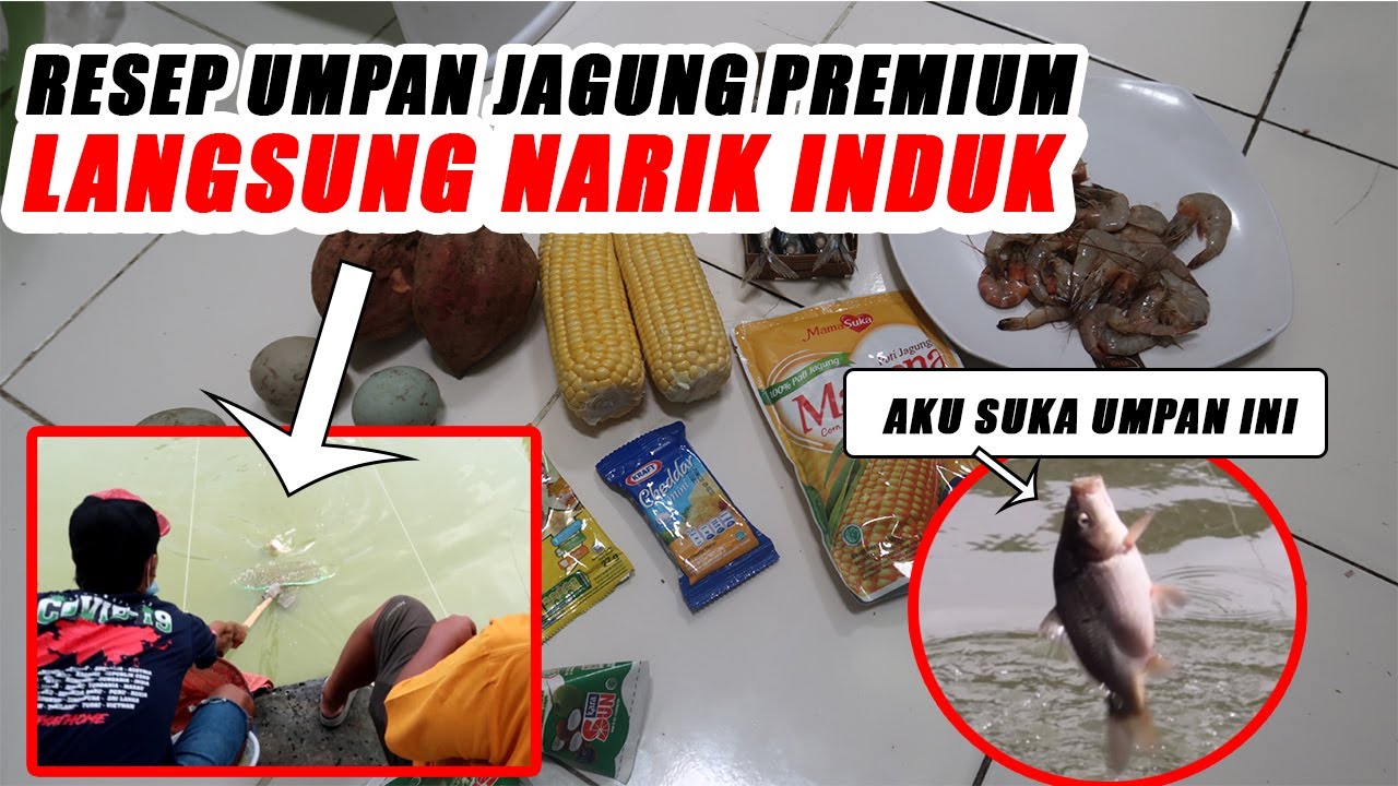 Resep Umpan Jagung PREMIUM !! Langsung Test di Pemancingan AMEC