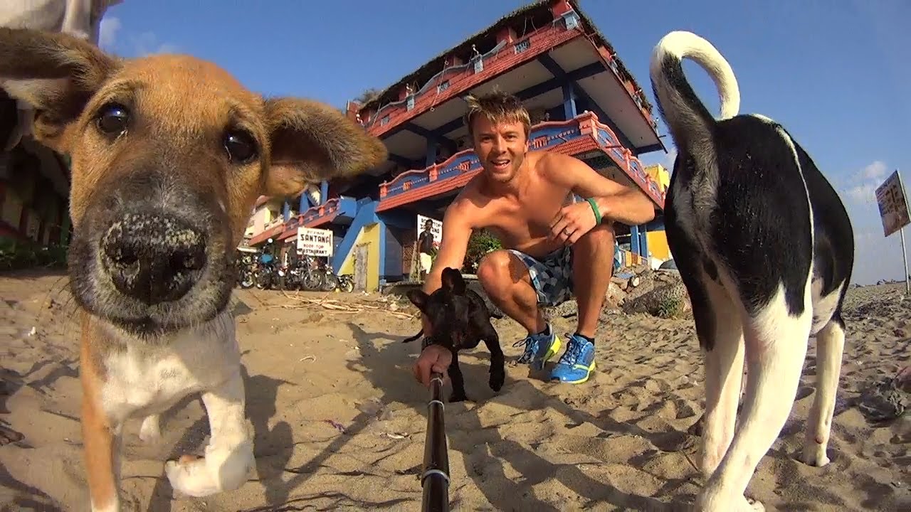 Dogs Slow Motion 120fps SonyHDRAS30V YouTube