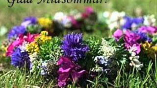 Video thumbnail of "Jag tror på sommaren - Midsommar"