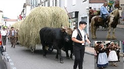 LA ROUTE DES FOINS - 'AUTREFOIS LE COUSERANS 2015' - ST GIRONS - ARIEGE