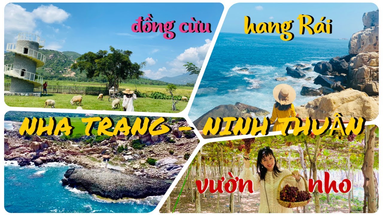 Tour 1 ngày Ninh Thuận từ Nha Trang: Đồng Cừu - Vĩnh Hy - Vườn Nho ...