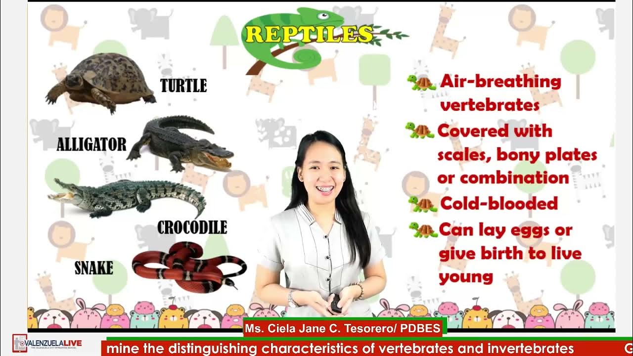 GRADE 6 SCIENCE Q2 - DETERMINE THE DISTINGUISHING CHARACTERISTICS OF