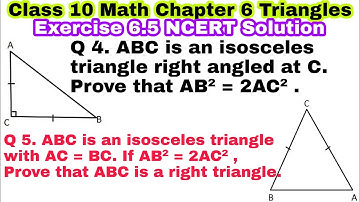Class 10 Ex 6.5 Q 4 | Q 5 | Chapter 6 | Triangles | NCERT Solutions | CBSE | EXERCISE 6.5