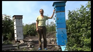 Народный улей Варрэ. Отбор мёда. Фазы 2 и 3. Снятие корпусов. Откачка. Осушка Народный улей Варрэ. Отбор мёда. Фазы 2 и 3. Снятие корпусов. Откачка. Осушка