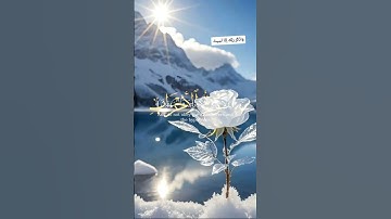 #سورة_الاحزاب #اكسبلور