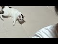2つめの動画が100万再生いくとは思ってませんでした。ライヴ