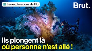 Jai Suivi Lexplorateur Laurent Ballesta, Photographe Sous-Marin, Pour Sa Mission Au Bout Du Monde