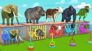 Kids animals learning videos\/ kids entertaining videos\/animals cartoons video