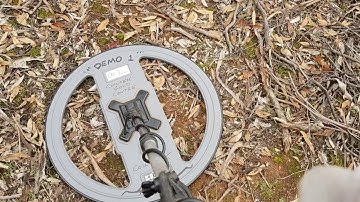 The new nugget finder 25" Double D coil. The reef finder in deep mode.