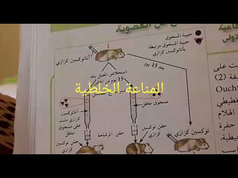 المناعة الخلطية الإظهار التجريبي لإنتاج جزيئات دفاعية وطريقة تاثيرها