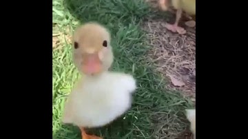 Тут съемка видео запрещена