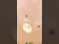 水ゴムで暑さに耐えたが、剣が壊れた