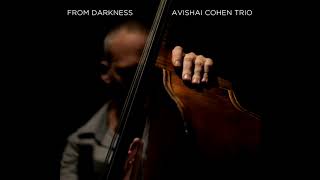 Avishai Cohen - Almah Sleeping
