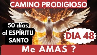 Día 48🔥🙏: CAMINO PRODIGIOSO 50 DÍAS AL ESPÍRITU SANTO/ ME AMAS ? by Paz y Bien Music 17,102 views 2 weeks ago 10 minutes, 1 second