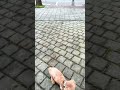 關於機車待轉區的小糗事
