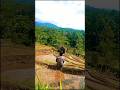 Damai&amp;tenang sekali tempat ini:alam indah pedesaan #sawah #hidupdidesa #alampedesaan #nature #travel
