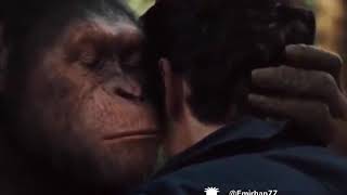 Senin Ağzını Yirim