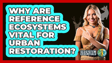 Why Are Reference Ecosystems Vital For Urban Restoration? - Ecosystem Essentials