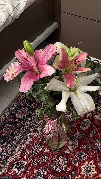 lilies my fav 🌺#explore #explorepage #foryou #fypシ゚viral #lilis