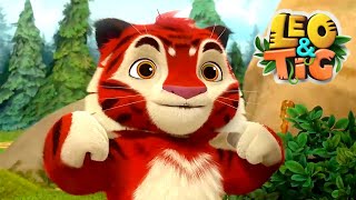 Leo and Tig 🦁 16-20 episodes in a row 🐯 Funny Family Good Animated Cartoon for Kids by Leo and Tig 26,303 views 2 months ago 52 minutes