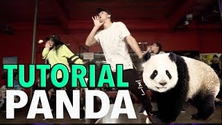 Video thumbnail of "PANDA - Desiigner (Dance TUTORIAL) | @MattSteffanina Choreography | DANCE TUTORIALS LIVE"