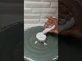 Rose 🌹 #ytshorts #video #reels #videos #trending #video #explore