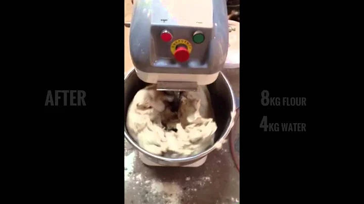 HM20B Dough Kneading Spiral Mixer Running Test Video