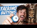 Talking buttons  how to turn your cat into a chatty companion