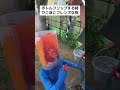 #でこぼこフレンズ #カランコロン #旅男 #コスプレ