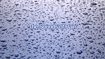 The Sounds of Windy Rain for Sleep (60 Minutes)