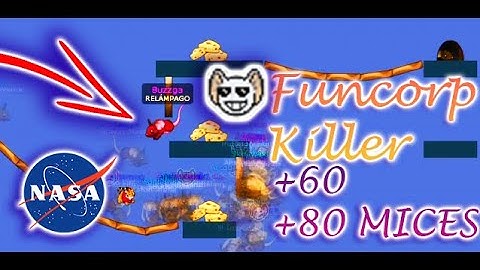 DESTROYING VANILLA FUNCORPS | TRANSFORMICE |  [1440p60 HD - 4K]