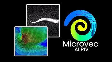 Artificial Intelligence in Particle Image Velocimetry