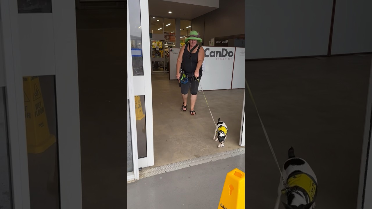 3385. Seek target leading handler exit distraction automatic doors supermarket entry 14 Dec 2023 KS